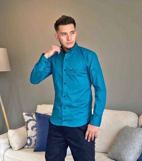 camisa manga larga verde